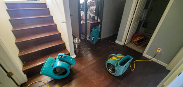 Best Sewage cleanup and water damage restoration  in Funny River, AK