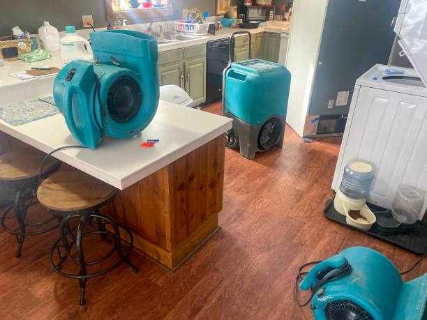 Best Ceiling water damage repair  in Funny River, AK
