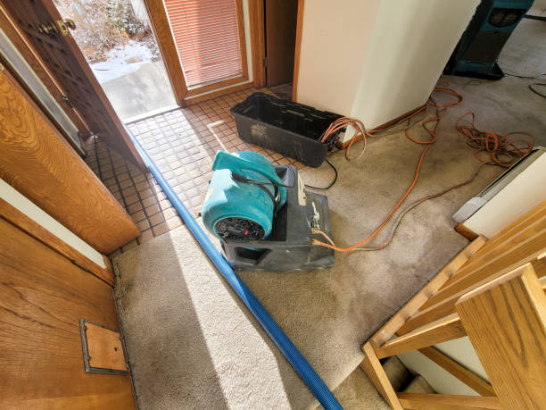 Best Water damage restoration near me  in Funny River, AK