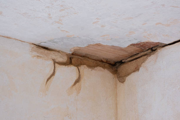 Water damage restoration mold remediation in AK