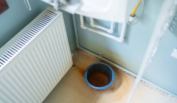 Best Water damage cleanup near me  in Funny River, AK
